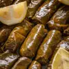 ⁦עלי גפן עילאיים⁩ – תמונה ⁦2⁩